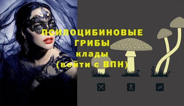 ПСИЛОЦИБИНОВЫЕ ГРИБЫ Баксан