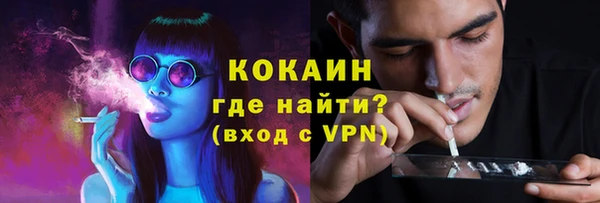гашик Балахна