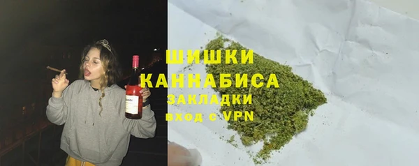 ПСИЛОЦИБИНОВЫЕ ГРИБЫ Баксан