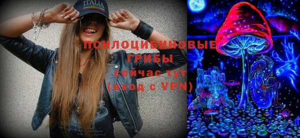 ПСИЛОЦИБИНОВЫЕ ГРИБЫ Баксан