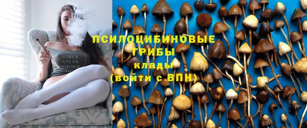 гашик Балахна