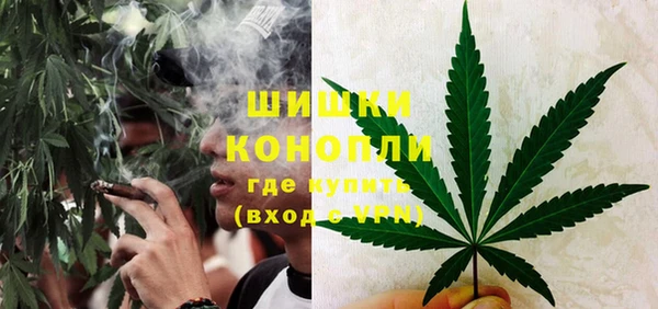 гашик Балахна