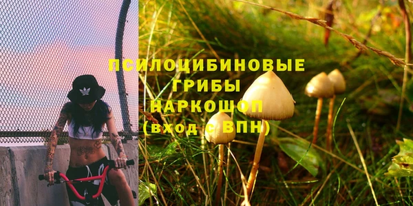 гашик Балахна