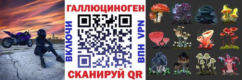 Псилоцибиновые грибы Cubensis  Калининец 